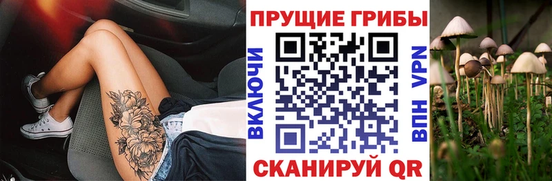 купить Медвежьегорск маркетплейс официальный сайт Галлюциногенные грибы Magic Shrooms